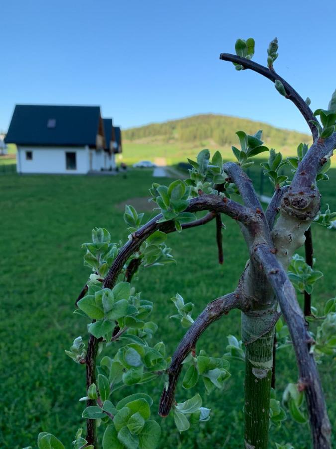 Villa Dobre Miejsce Niedzica Esterno foto