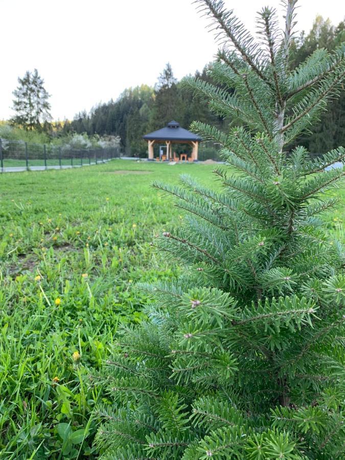 Villa Dobre Miejsce Niedzica Esterno foto