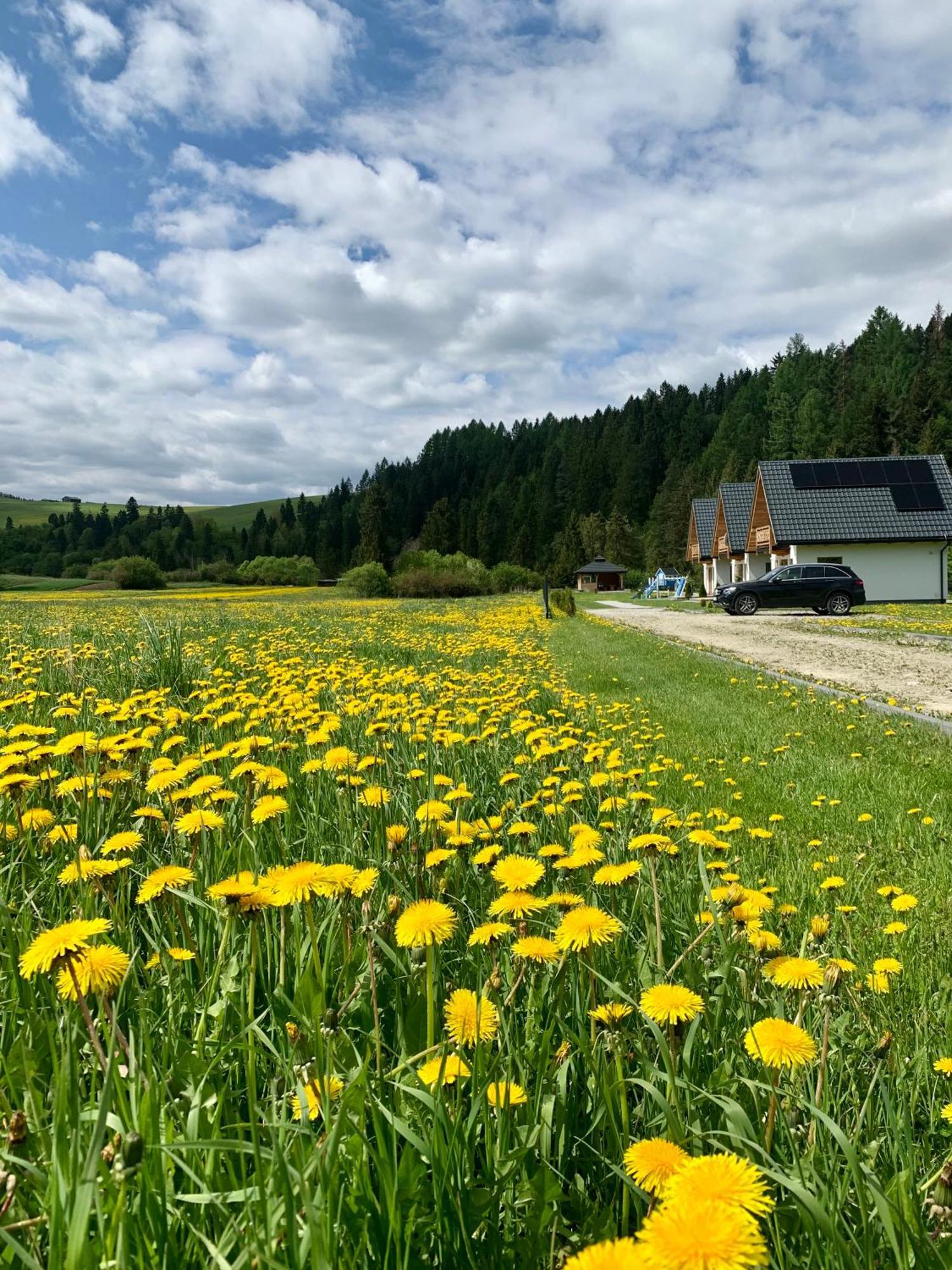 Villa Dobre Miejsce Niedzica Esterno foto