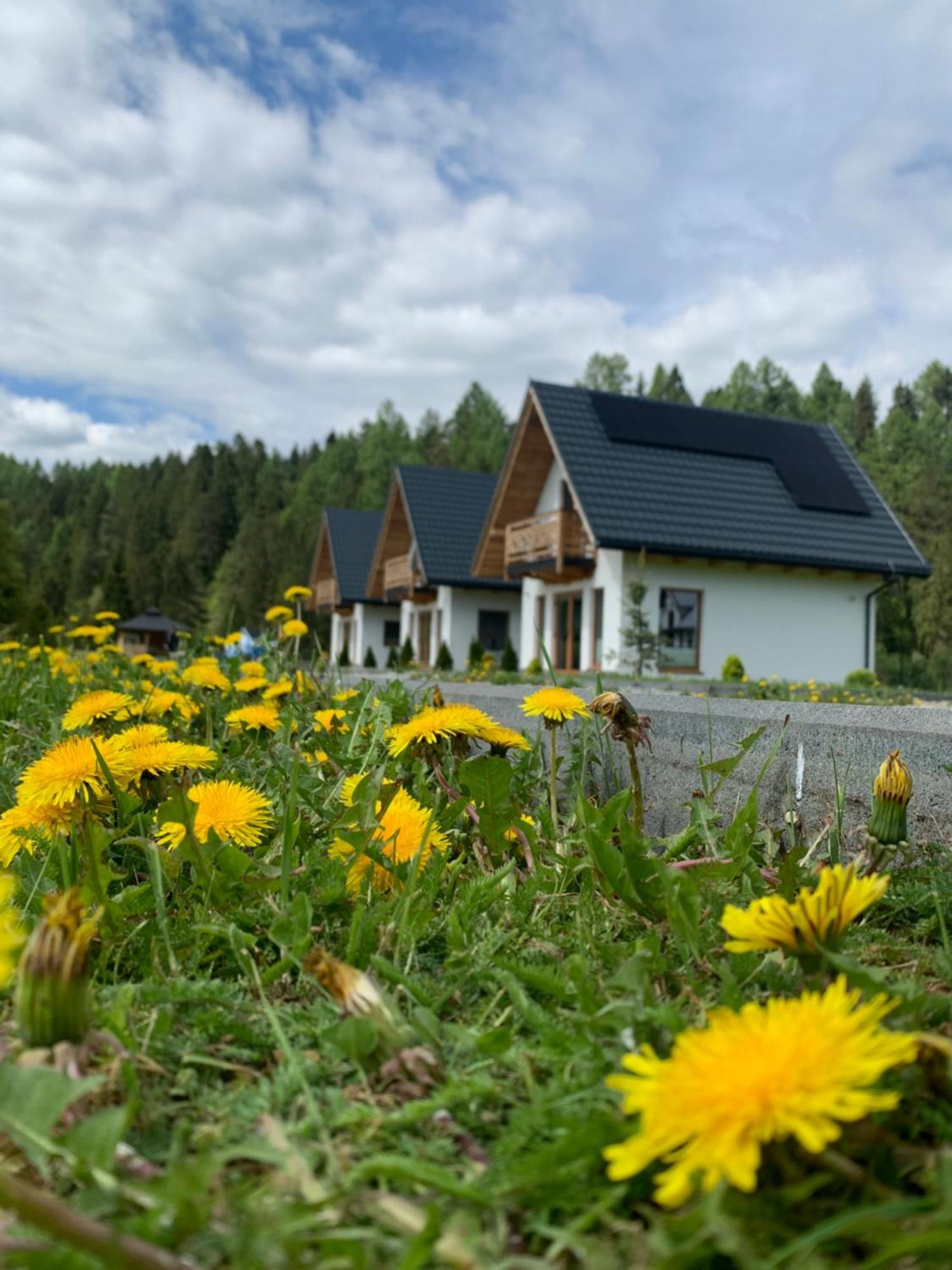 Villa Dobre Miejsce Niedzica Esterno foto