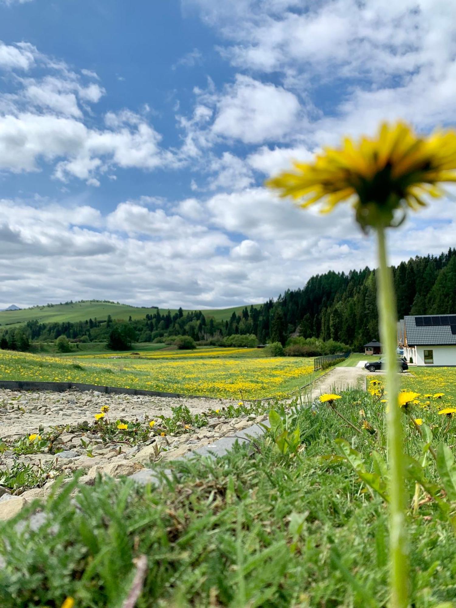Villa Dobre Miejsce Niedzica Esterno foto